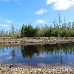 Cape Breton Eco Village Pond