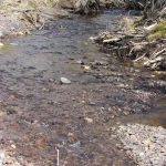 CapeBretonEcoVillage Bach 13