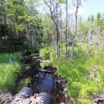 CapeBretonEcoVillage Bach