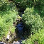 CapeBretonEcoVillage Bach2