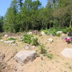 CapeBretonEcoVillage Blumen