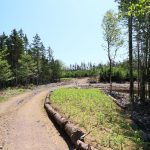 CapeBretonEcoVillage Strasse