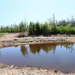 CapeBretonEcoVillage Teich