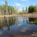 CapeBretonEcoVillage Teich10