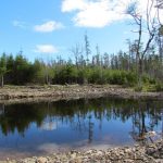 CapeBretonEcoVillage Teich11
