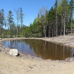 CapeBretonEcoVillage Teich14