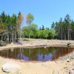 CapeBretonEcoVillage Teich3