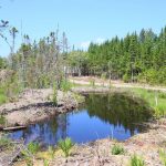 CapeBretonEcoVillage Teich4