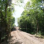 CapeBretonEcoVillage Weg2