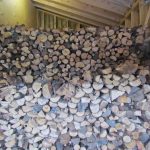 firewood